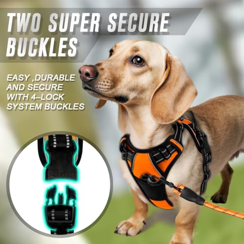 Dog Harness No Pull for Small Sized Dog Front Back Clips (X-Small(Chest:15.5-19.5”) / Orange)