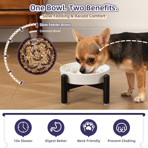 Elevated Slow Feeder Dog Bowl (White / S（1 Bowl with Stainless Steel Stand）)