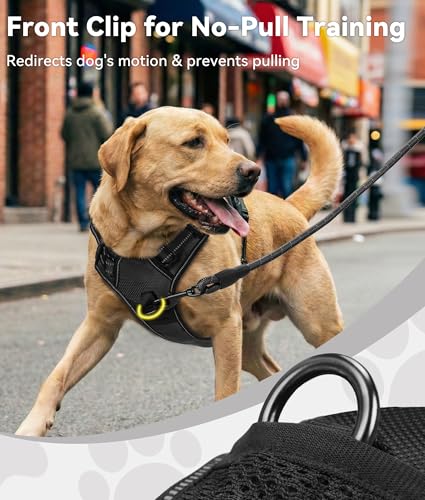No Pull Dog Harness Medium Sized Dog (Medium / Black)