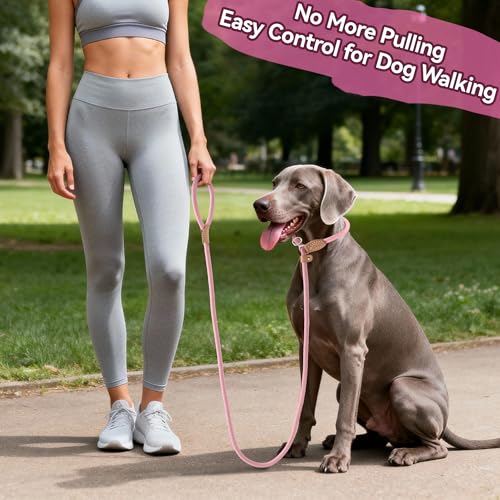 Heavy Duty Slip Lead No Pull Leash 6 (Pink / 4 Feet)