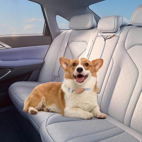 Hands Free Dog Leash (Blue Gray / 8FT Hands Free)
