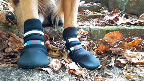 All Weather Neoprene Paw Protector Dog Boots with Reflective Straps in 5 Sizes! (XL)
