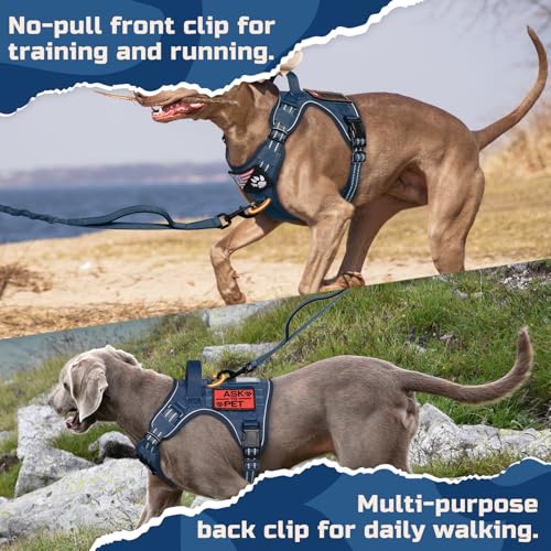 Tactical Dog Harness for X (Blue / X-Large)