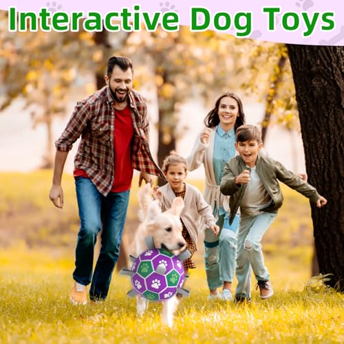 Dog Toy Balls (6 Inch / Purple Green)