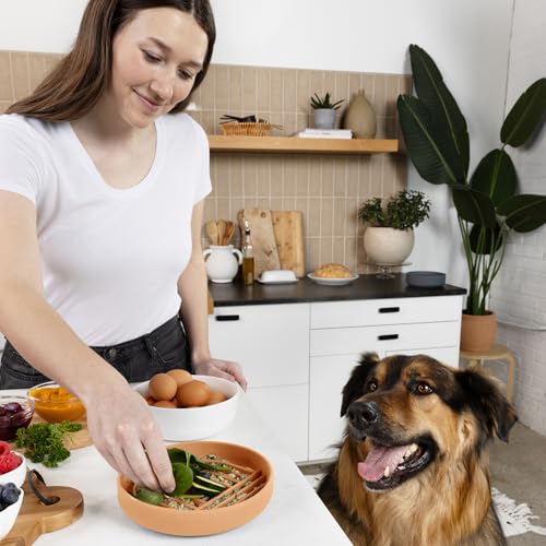 Slow Feeder Dog Bowl (Terracotta - Rainbow Design / Medium (7.5” Across x 1.5” Tall))