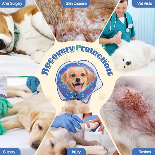 Inflatable Collar After Surgery (Blue / M)