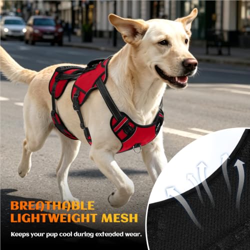 Dog Lift Harness (Red-2 / X-Large)
