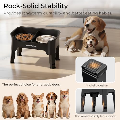 Mess Proof Elevated Dog Bowls for Small Dogs with Slow Feeder (Matte Black / Small)