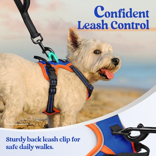 Dog Harness No Pull for Small Dogs with 2 Leash Clips (X-Small / Blue & Orange)