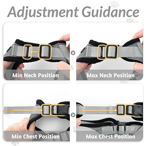 Cat Harness and Leash Set (S / Grey)