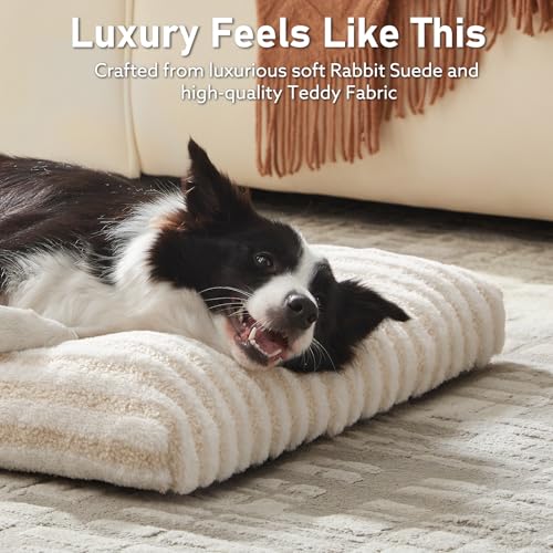 Washable Dog Bed Large Sized Dogs (White / 35.0"l x 23.0"w x 3.5"th)
