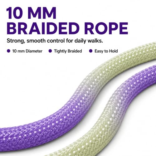 Hands Free Dog Leash (Purple green / 6.5 FT)