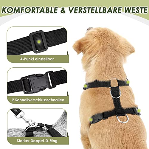Dog Car Harness Seat Belt (X-Small / Blue)