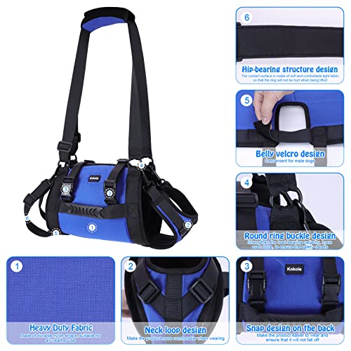 Dog Carry Sling (Blue / L)