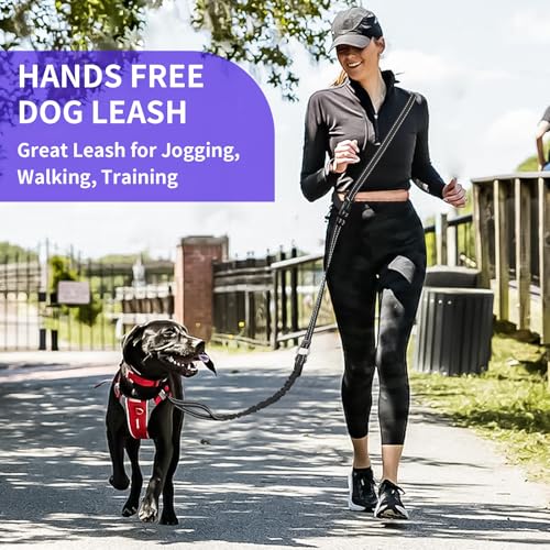 Hands Free Dog Leash by Kazazoo (BLACK Bungee / M)