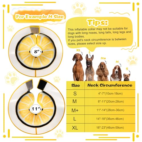 Inflatable Dog Cone Collar with Detachable Enhanced Anti (Lemon / M（neck 8"-11"）)