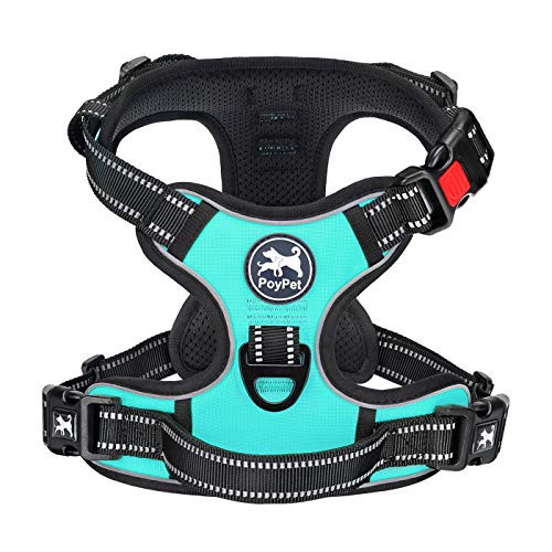 No Pull Dog Harness Small with Front Clip & Neck Release Buckle (S / Mint Blue)