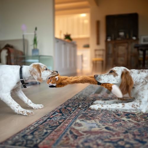 Dog Squeaky Toys No Stuffing 3 Pack (Medium / Fur Plush-3 Pack)