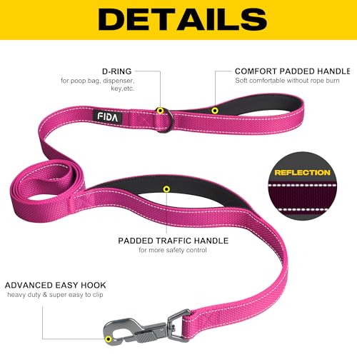 Heavy Duty Dog Leash for Medium Large Dogs (5 Feet (Pack of 1) / Rose)