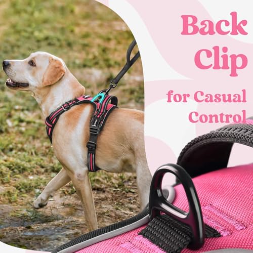 Dog Harness for Large (Large / Rose Pink)