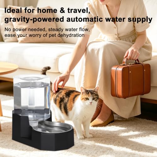 5L Cat Gravity Water Bowl Dispenser (Black / 5L Without Filter)