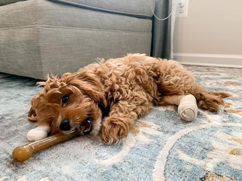 Power Chew Classic Bone Chew Toy for Dogs (Large)