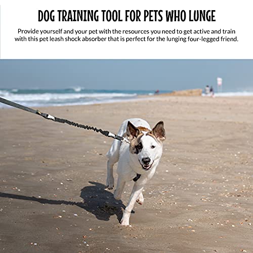 Hands Free Dog Leash & Lunge Set (Regular Dog System (Regular Belt (22"- 40" Waist)) / Bundle Leash + Lunge Buster)
