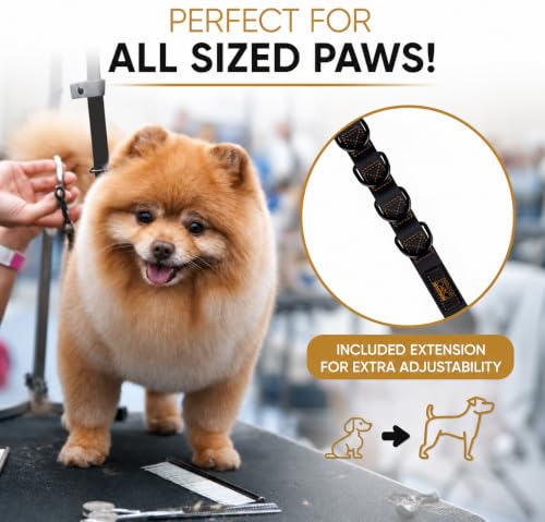 Dog Grooming Loop (Black)