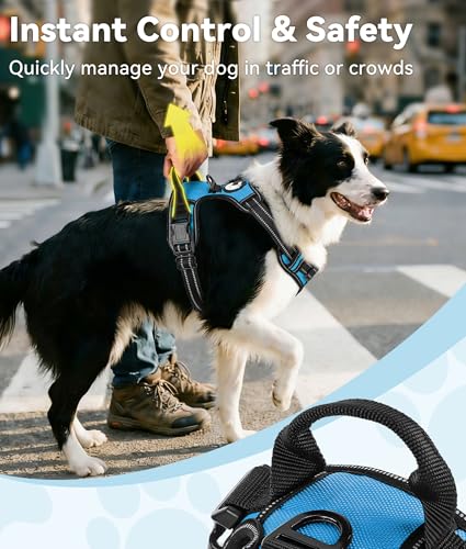 No Pull Dog Harness Medium Sized Dog (Medium / SkyBlue)