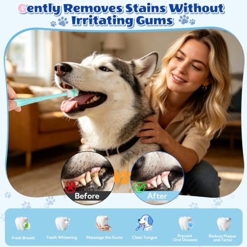 12 Pack Small Dog & Cat Toothbrush
