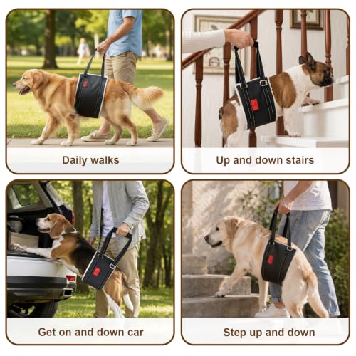 Leather Dog Lift Harness (L)