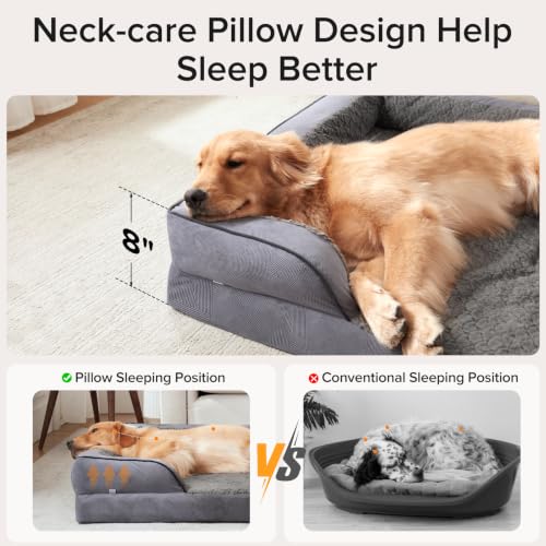 XXL Plus Orthopedic Dog Beds Large Sized (XXL- PLUS (53"x 42"x 8") / Dark Grey)
