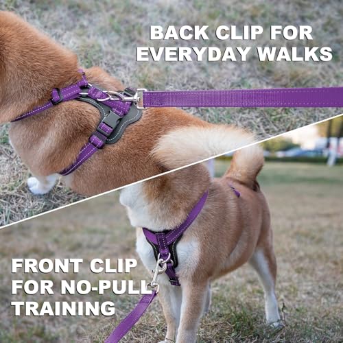 No Pull Dog Harness with Leather Accents (M / Purple)