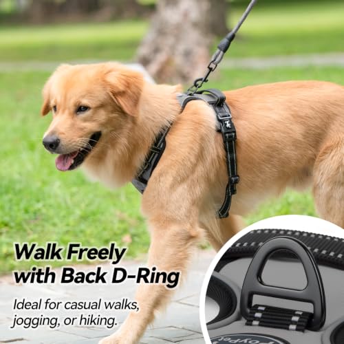 No Pull Dog Harness Small with Front Clip & Neck Release Buckle (XS / Grey)