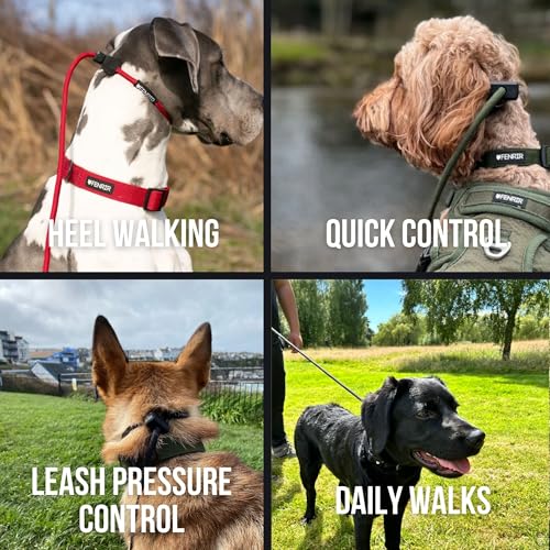 Slip Leash 1.4m Professional Dog Training Lead to Stop Pulling (Red)