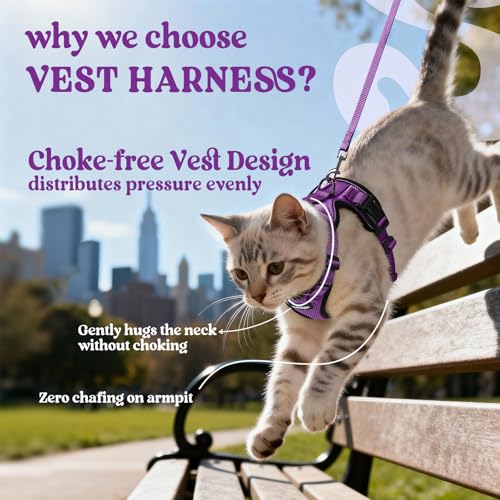 Cat Harness and Leash Set (Xxs / Purple)