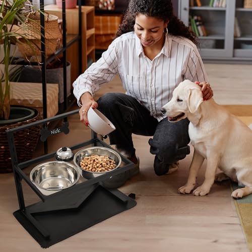 Elevated Dog Bowls