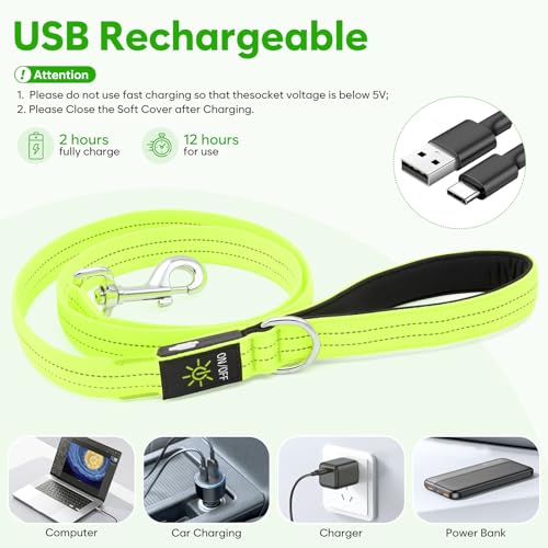LED Dog Leash (Green)