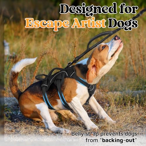 Escape Proof Dog Harness for Small (Black / Small)