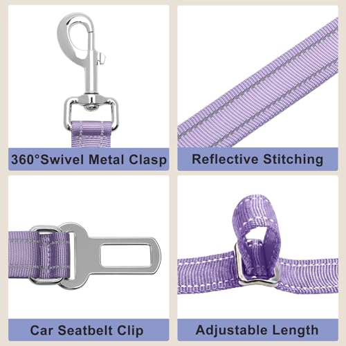 Bungee Dog Leash (Lavender / 4.6-7.3FT)