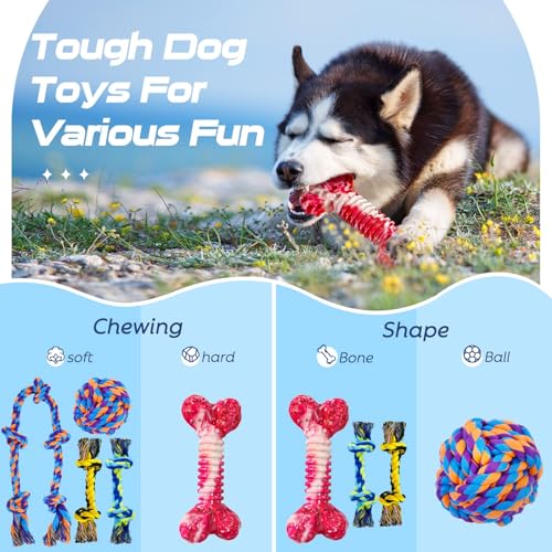 Dog Chew Toys for Aggressive Chewers (5 Packs / Large)