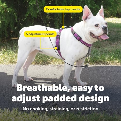 3 in 1 Dog Harness (Plum / Small (Pack of 1))