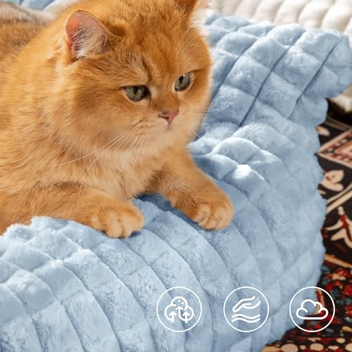 Cat Couch Bed with Fluffy Faux Rabbit Fur for Indoor Cats (Light Blue / Large: 36"L x 27"W x 10"Th)