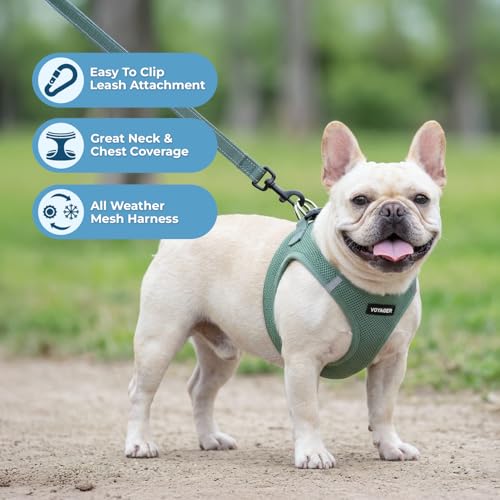 Voyager Step in Air All Weather Mesh Harness and Reflective Dog 5ft Leash Combo with Neoprene Handle (Moss Green / M (Chest: 16 - 18"))