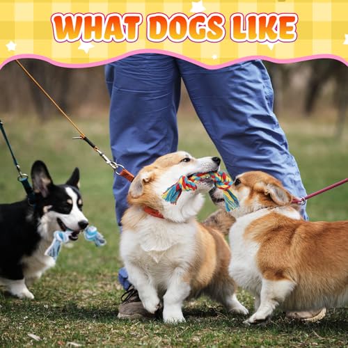 100 Pcs Knot Rope Dog Toys Multi Color