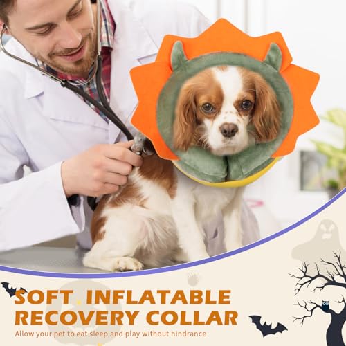Inflatable Recovery Dog Collar (Green Demon / Medium (Neck:8''-10''))