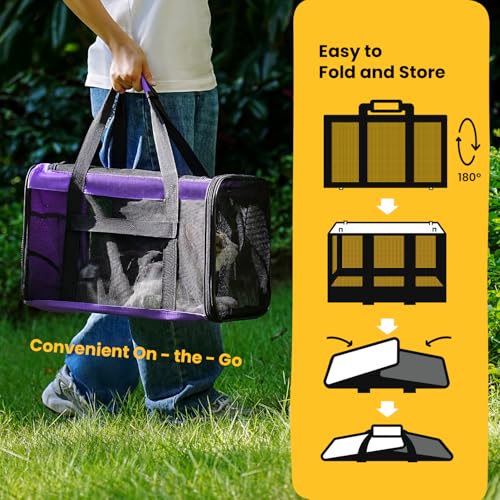Cat Carrier Bag (M / Purple)