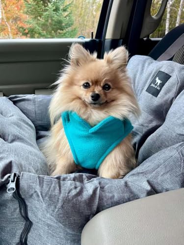 Dog Fleece Vest Sweater w (XXL (25-35lbs) / Turquoise)
