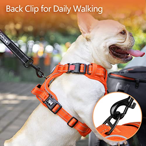 No Pull Dog Harness (Medium / Orange(Matching Trim))