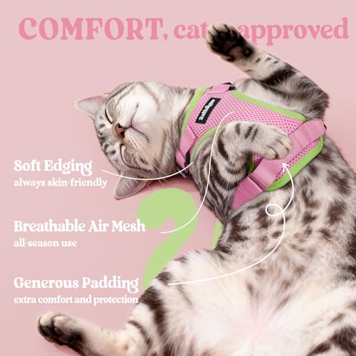Cat Harness and Leash Set (M / Pink & Light Green)